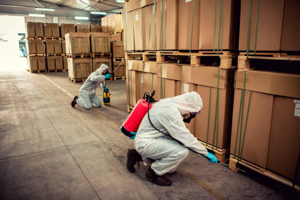 Flea Control Services in Muldraugh, KY