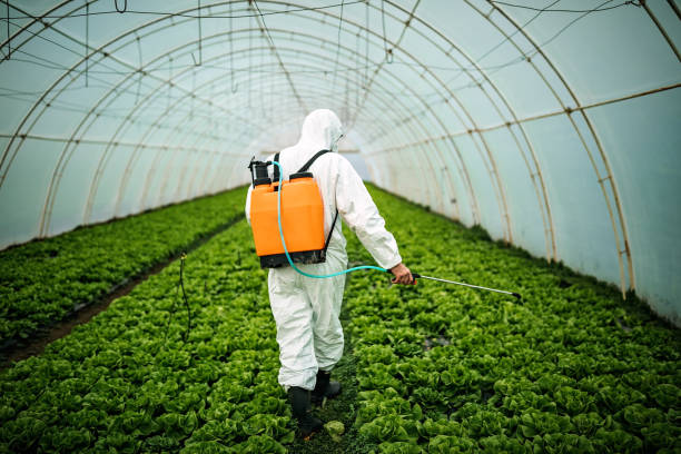Best Pest Control Near Me  in Muldraugh, KY