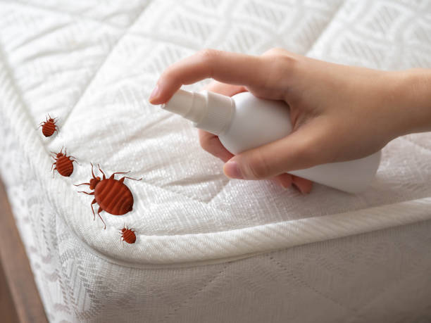 Best Pest Prevention Services  in Muldraugh, KY