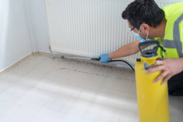 Reliable Muldraugh, KY Pest Control Solutions