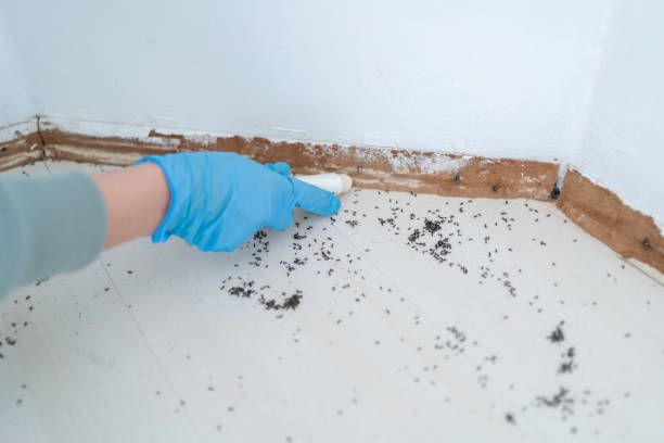 Best Commercial Pest Control Services  in Muldraugh, KY