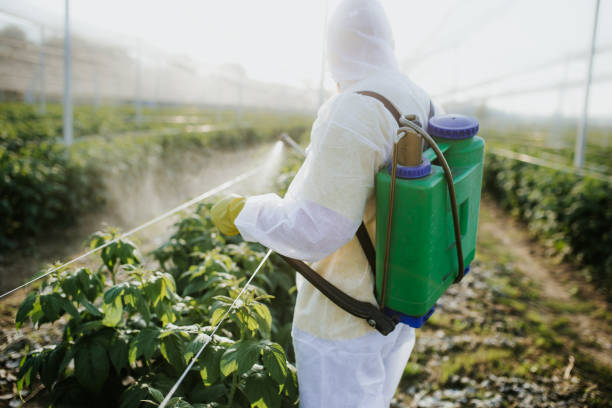 Best Residential Pest Control  in Muldraugh, KY